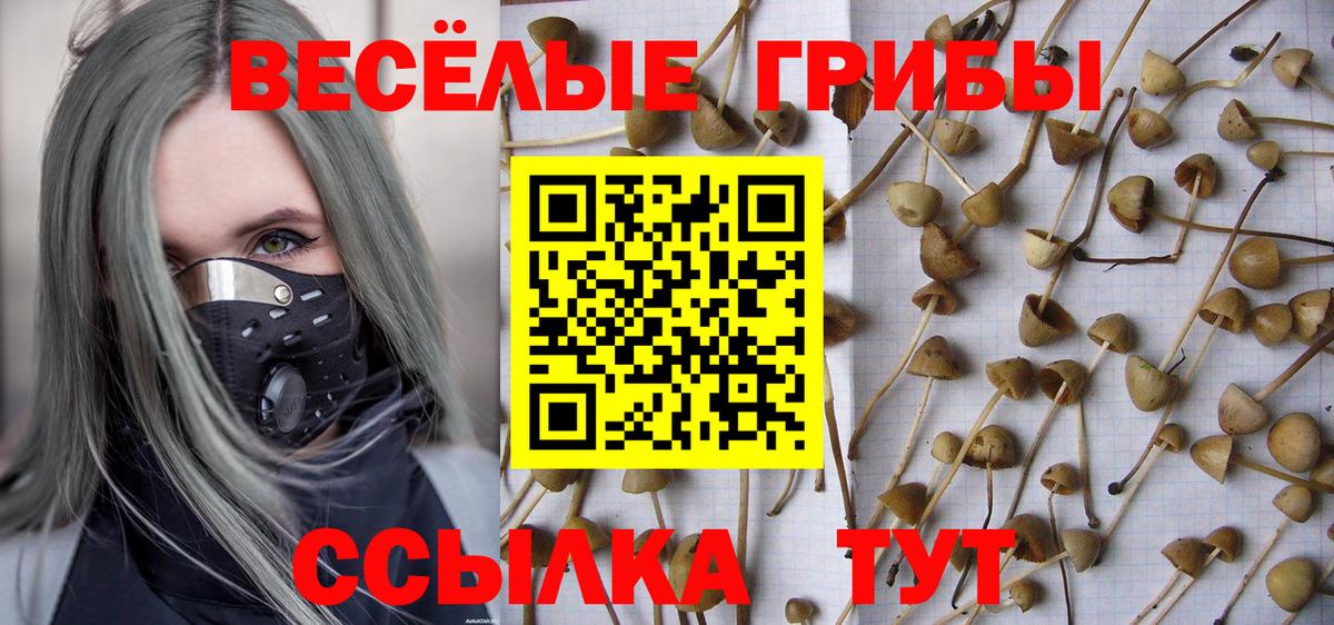 наркошоп  Вход с VPN  Долгопрудный  Псилоцибиновые грибы мухоморы  Галлюциногенные грибы мухоморы 