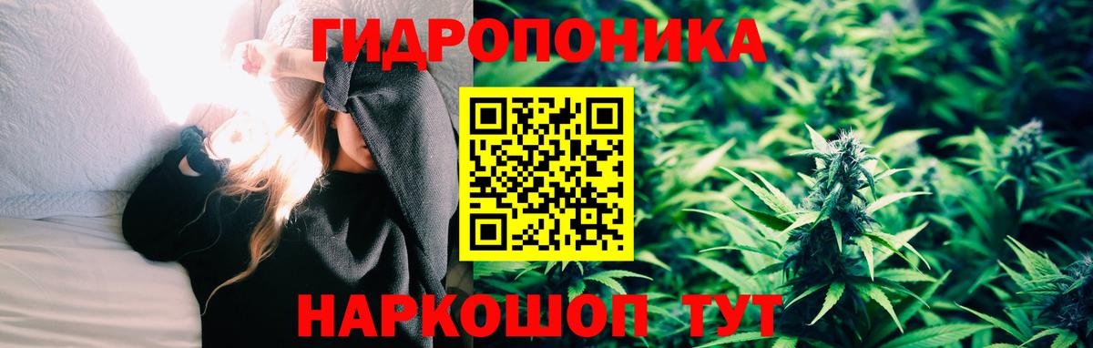Бошки Шишки конопля  Каннабис ГИДРОПОН  Долгопрудный  Бошки марихуана семена  Вход с VPN 